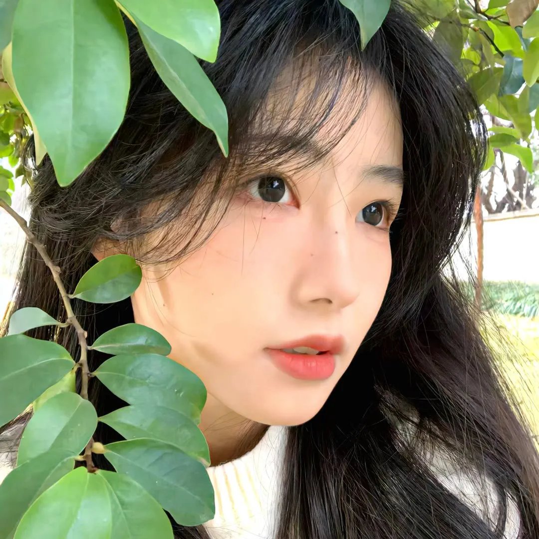 黑洞2021